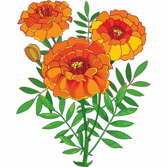 Meet your Posher, Rebecca - Picture 1 of 1